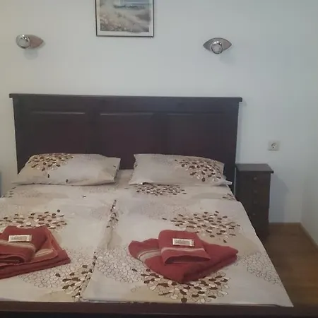 Andonov Guest house 2*