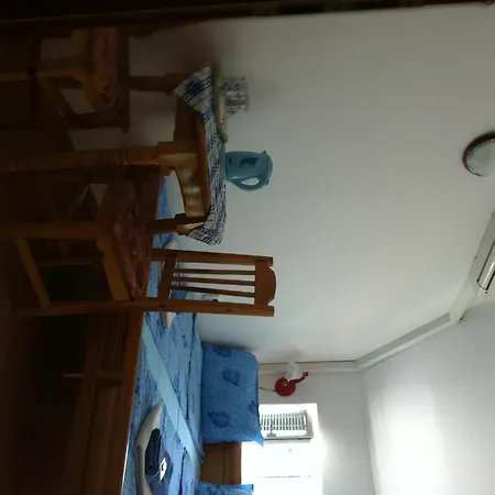 Andonov Guest house 2*