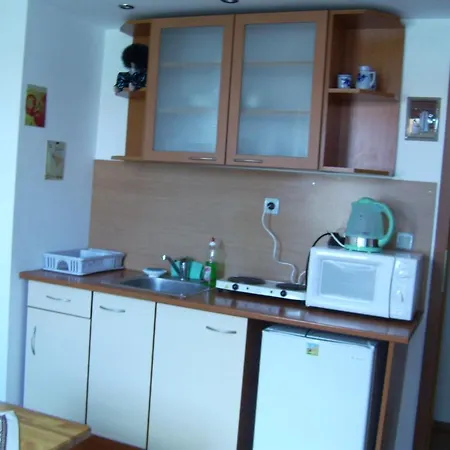 Guest house Andonov