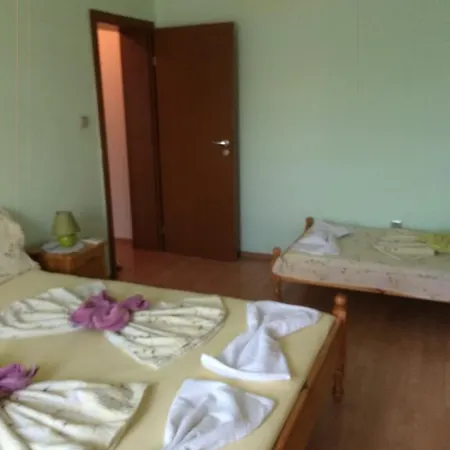 Andonov Guest house 2*